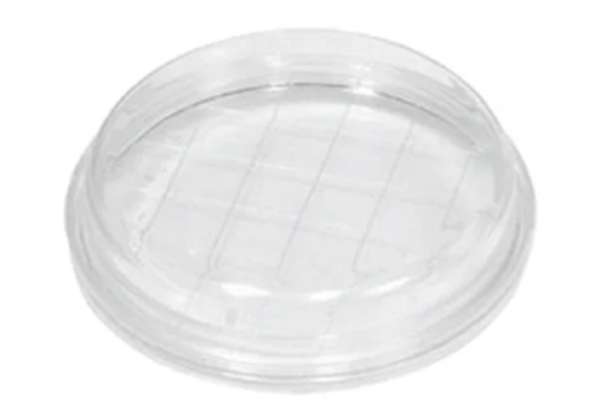 Placa RODAC 60x10mm sem divisão PS cristal